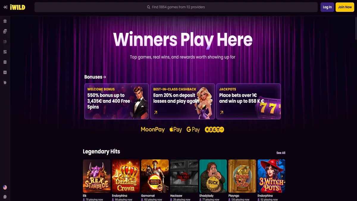 iWild Casino homepage overview